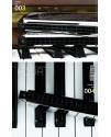 SWAN 天鵝牌 24 孔 高級複音 口琴 7調套裝 Harmonica 一套7個
